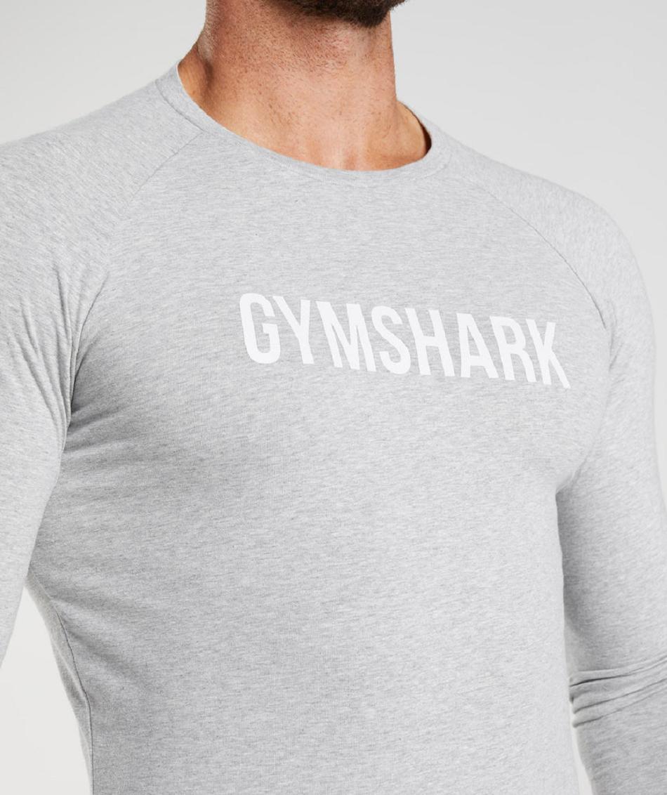 Long Sleeve Gymshark Apollo Hombre Gris Claro | CO 3527SGL